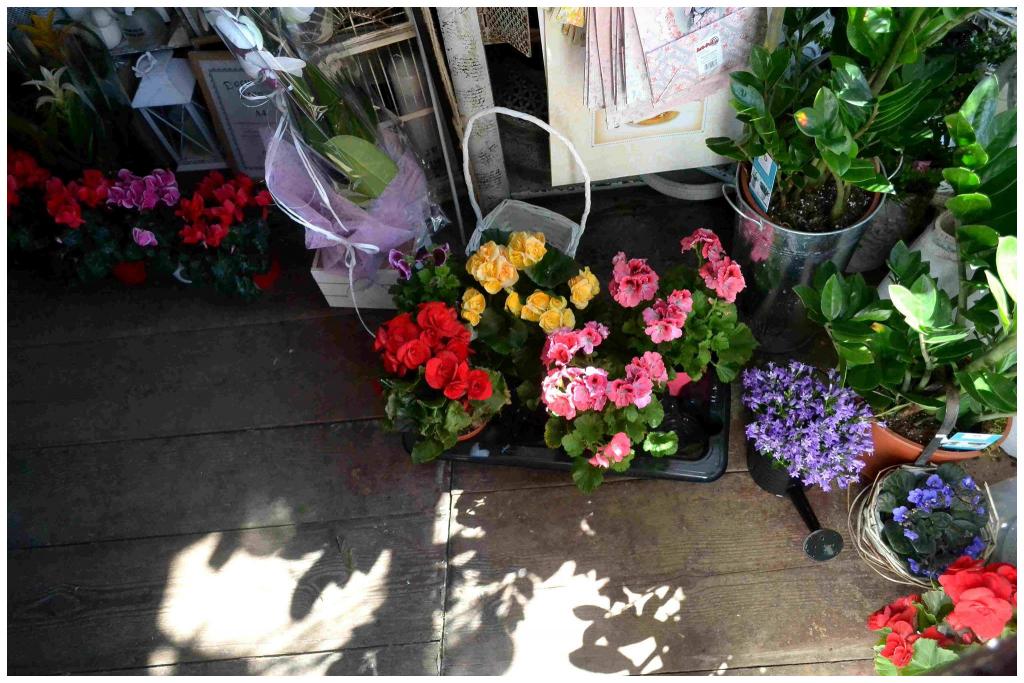 Akademia Sztuki Florystycznej Edyty Kozak  2