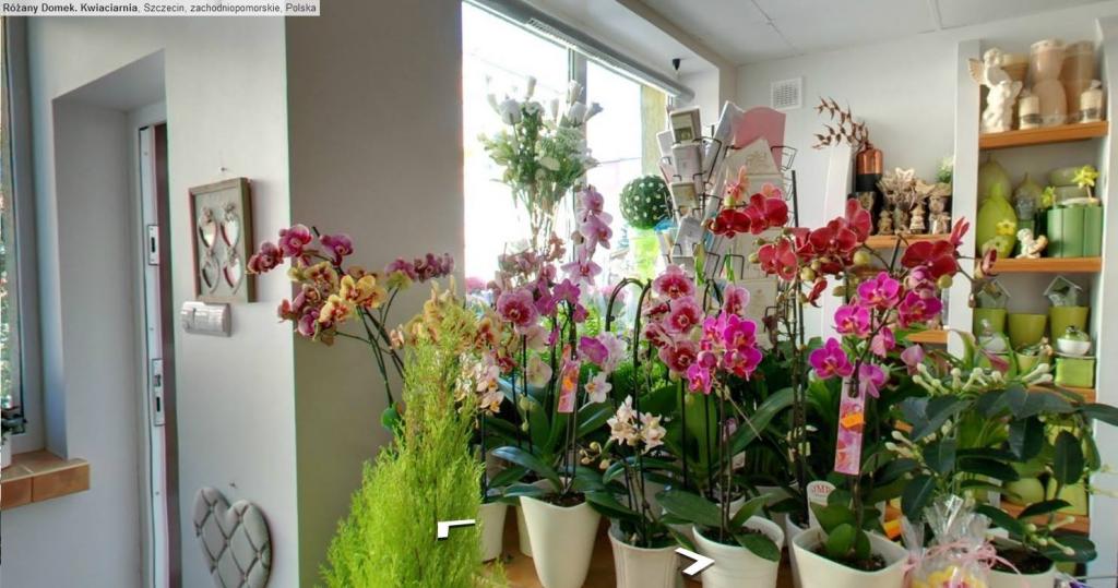 Kwiaciarnia Różany Domek